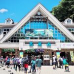 八王子市の観光名所高尾山とは？